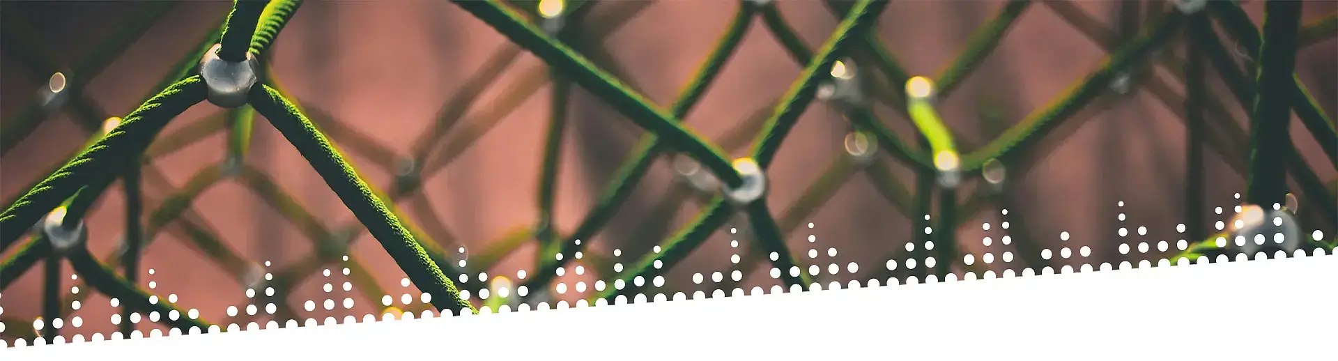 gründer Netzfaden der an viele Knotenpunkten in sich verbunden ist